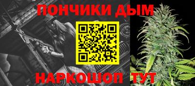 индика Жуковский