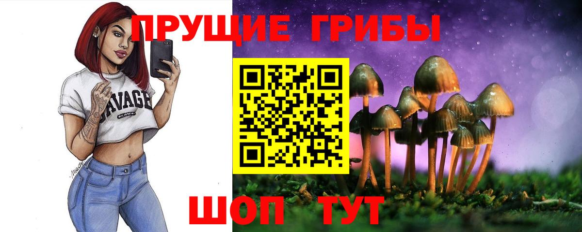 Псилоцибиновые грибы мицелий Егорьевск